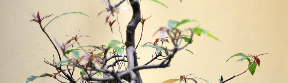 接骨院・整骨院・鍼灸院